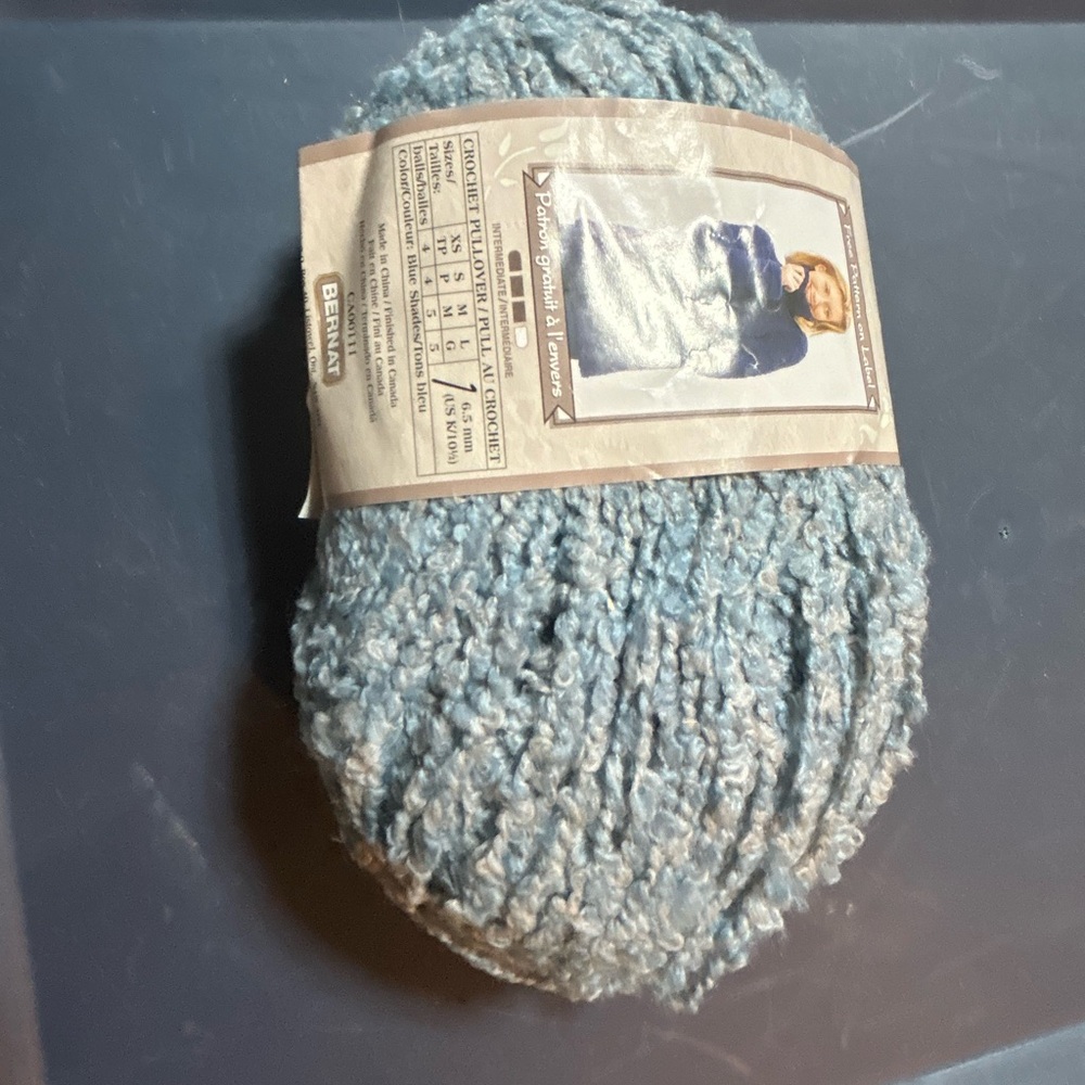 Bernat Blue Yarn Skein